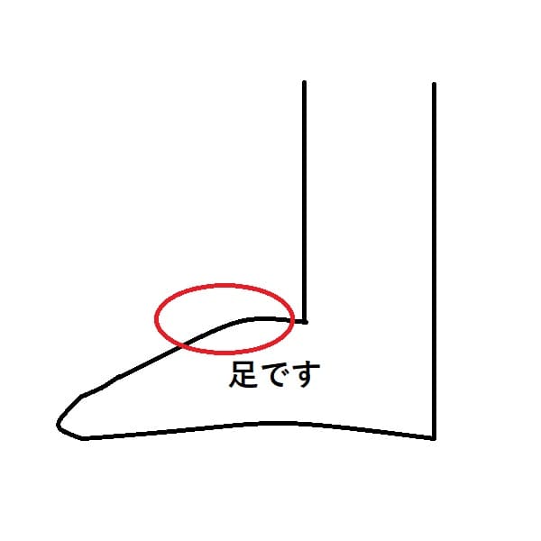 甲の高い足の絵