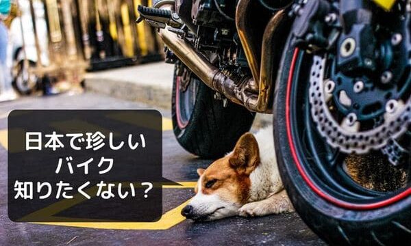 125cc 250cc日本で買えるかっこいい海外のレアバイク13選 はじめてバイク