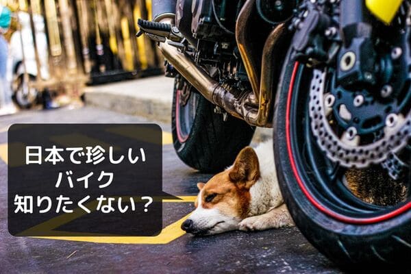 125cc 250cc日本で買えるかっこいい海外のレアバイク13選 はじめてバイク