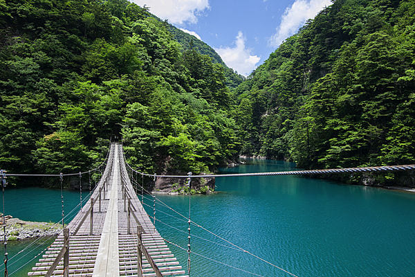 静岡県の観光スポット画像