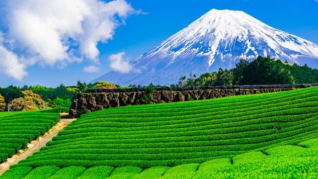 静岡県の観光スポット画像