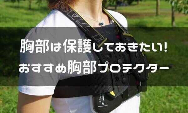 優先すべきは 胸 だ バイクの胸部プロテクターおすすめ4選 はじめてバイク
