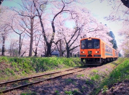 広角で見える景色の例え画像