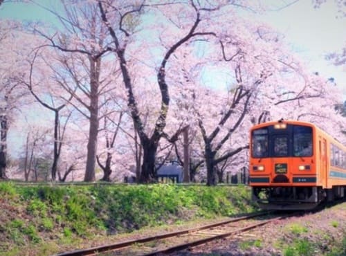 広角で見える景色の例え画像